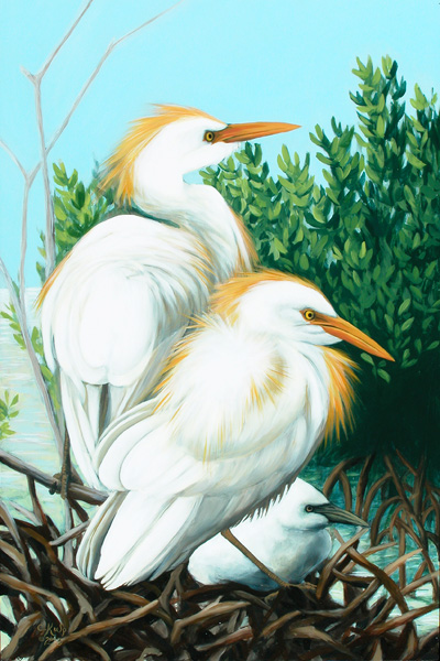 Egrets