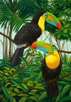 Keel Billed Toucans