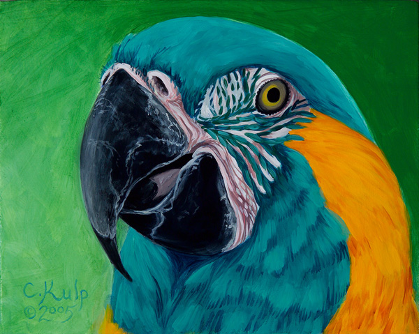 Blue Throat Macaw