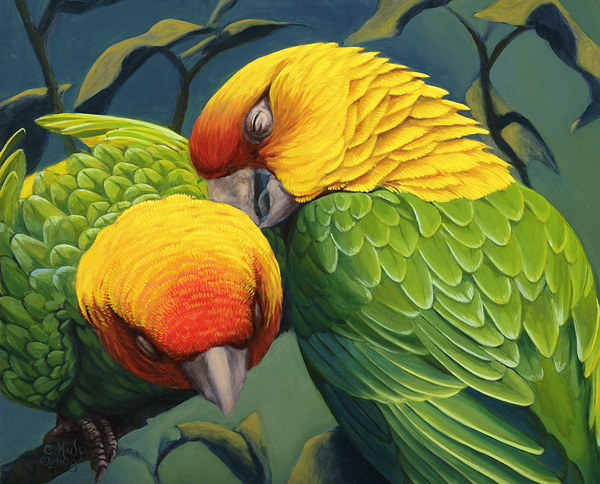 Carolina Parakeets 1