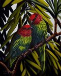 Goldie's Lorikeets