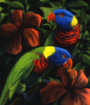 Rainbow Lorikeets