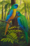 Turquoisine Parakeets